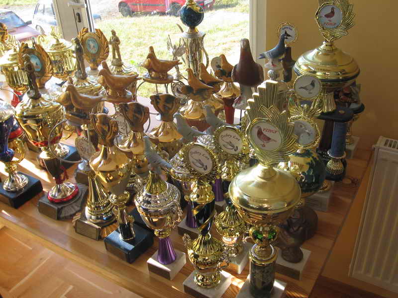 Gołębie